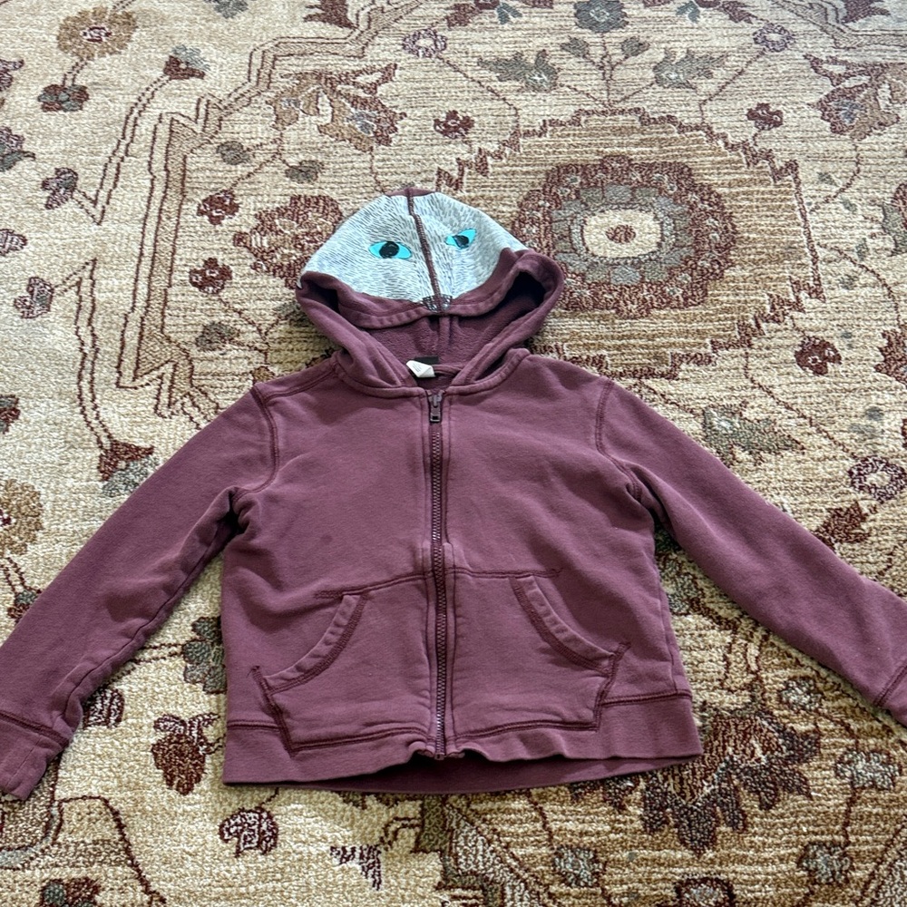 Boys tea collection animal hoodie